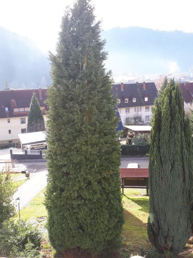 Schwarzwaldhotel / Wolfach Eksteriør bilde